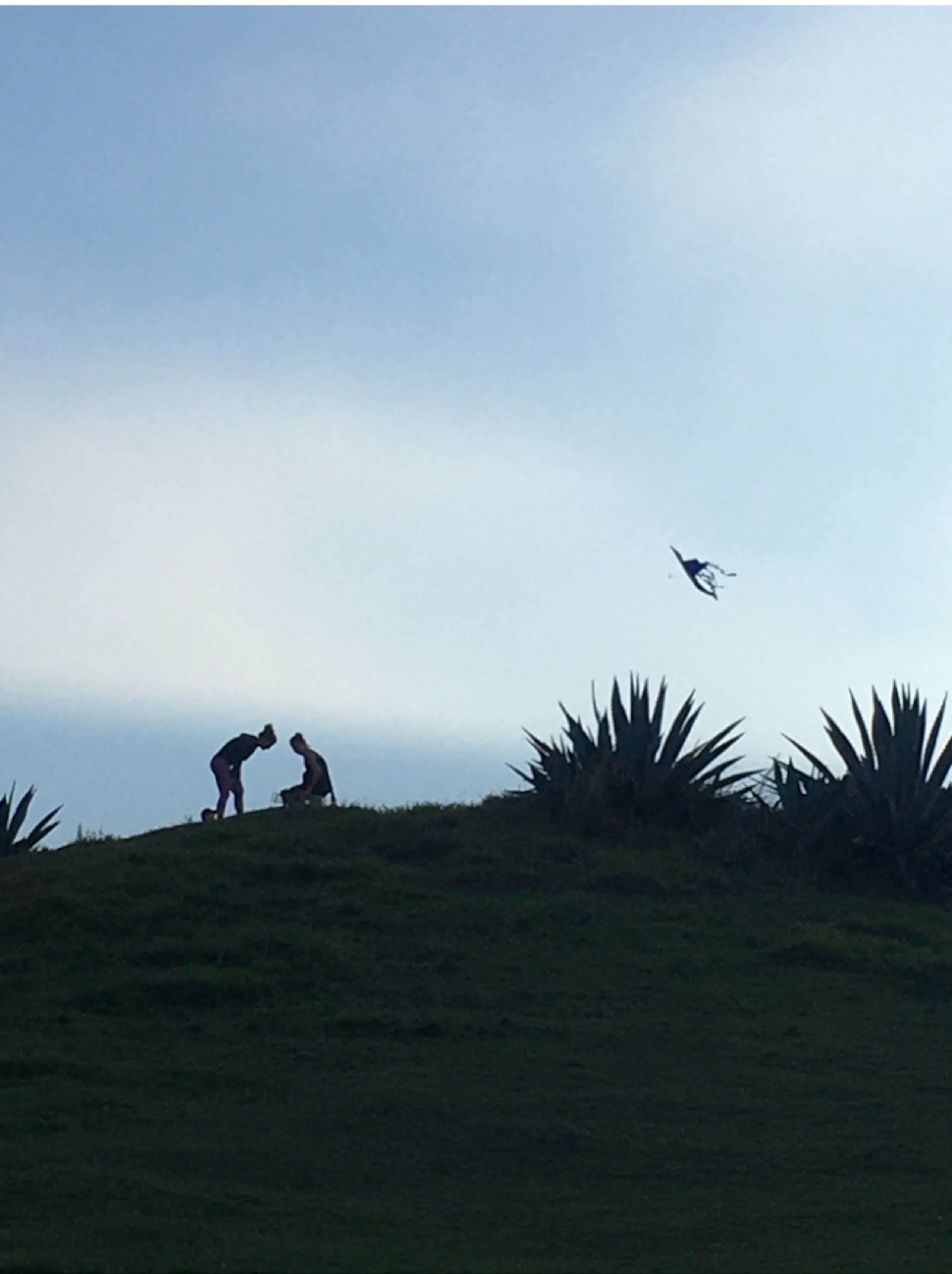 Aloha Nature Lovers - Photo 30