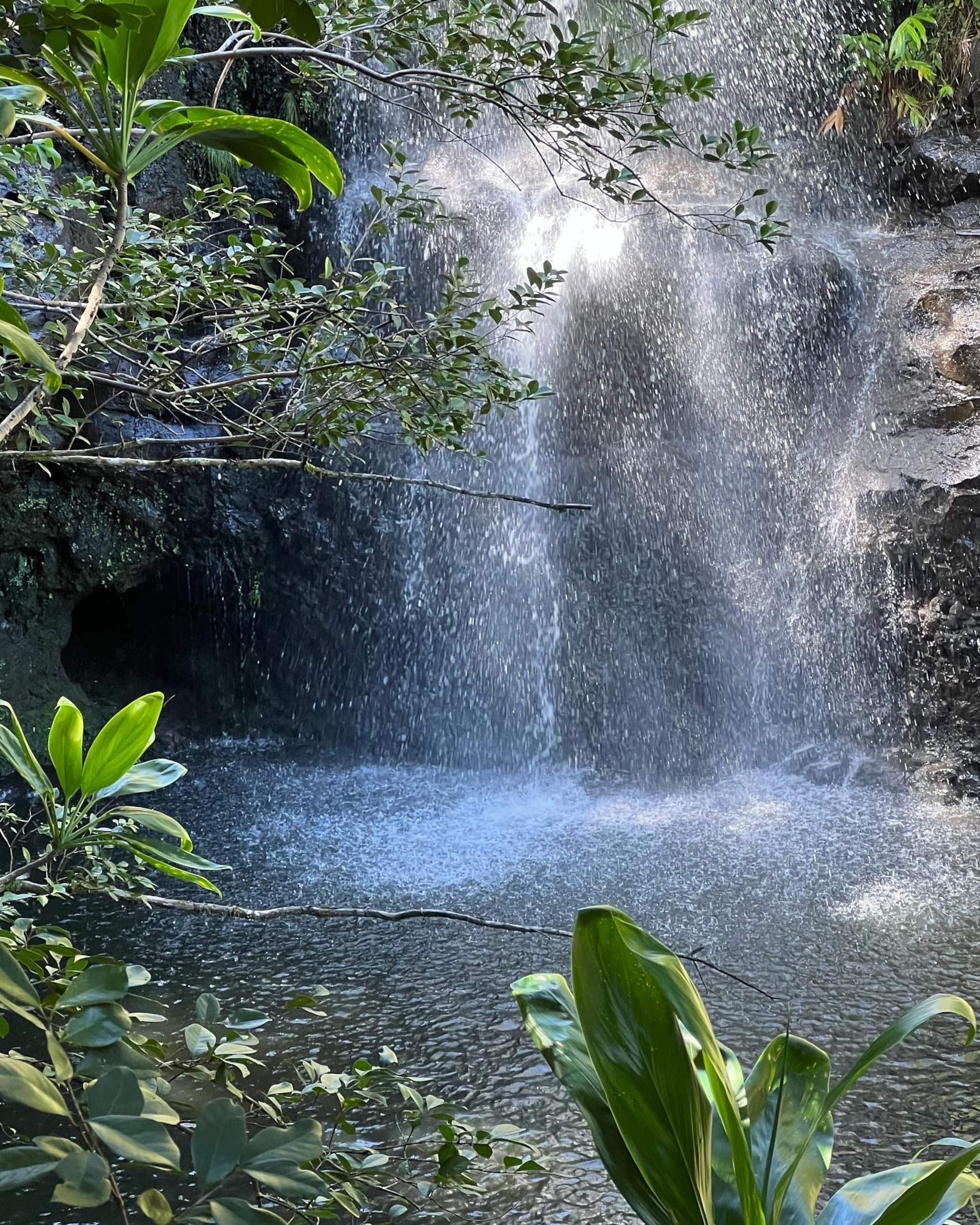 Aloha Nature Lovers - Photo 26