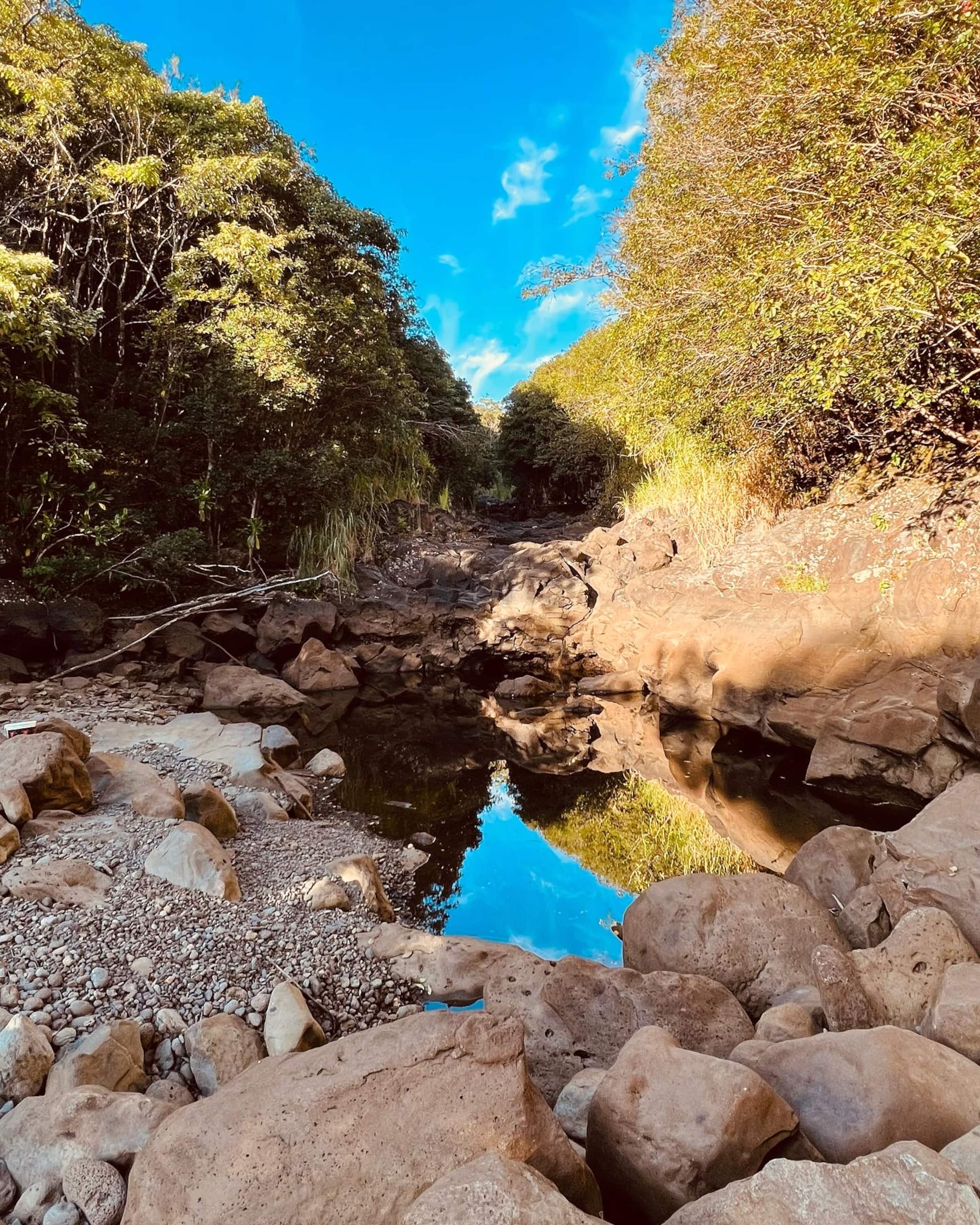 Aloha Nature Lovers - Photo 20