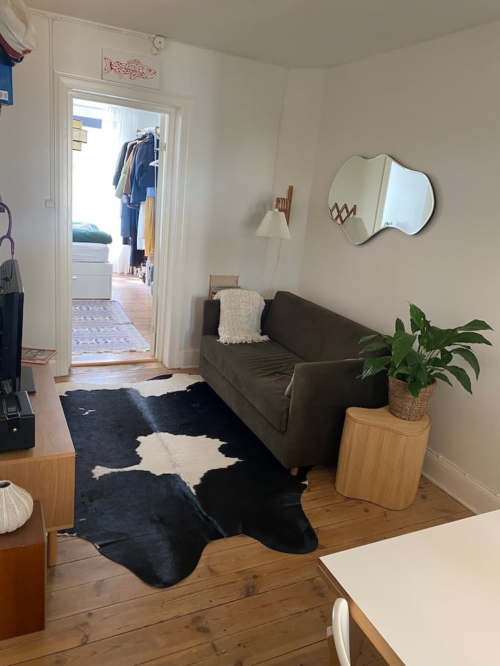 Cozy Apartment In The Heart Of Vesterbro - Copenhaguen