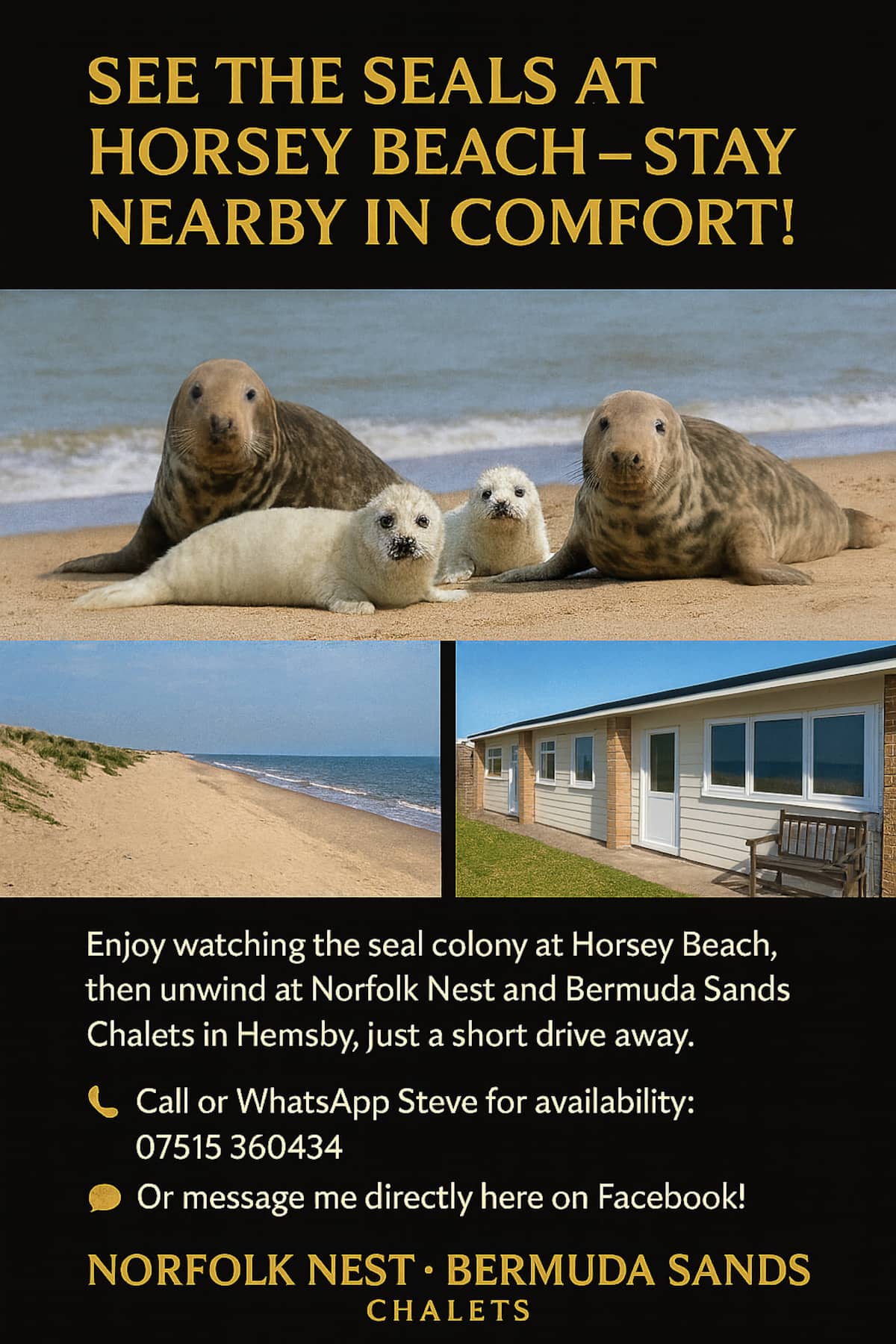 Club House Chalet near the beach