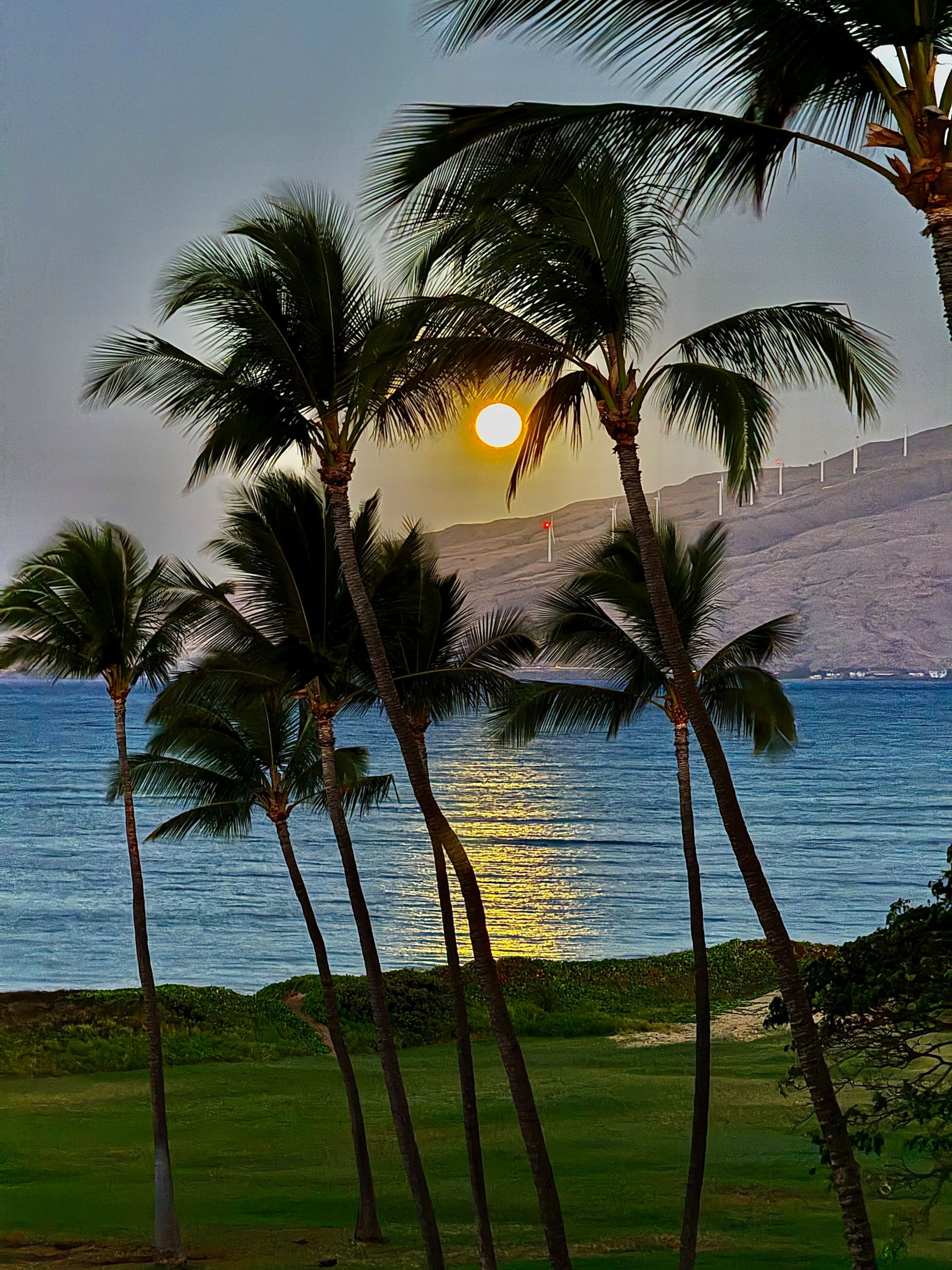 Condo in Kihei · ★4.95 · 1 bedroom · 1 bed · 1 private bath - Image 29