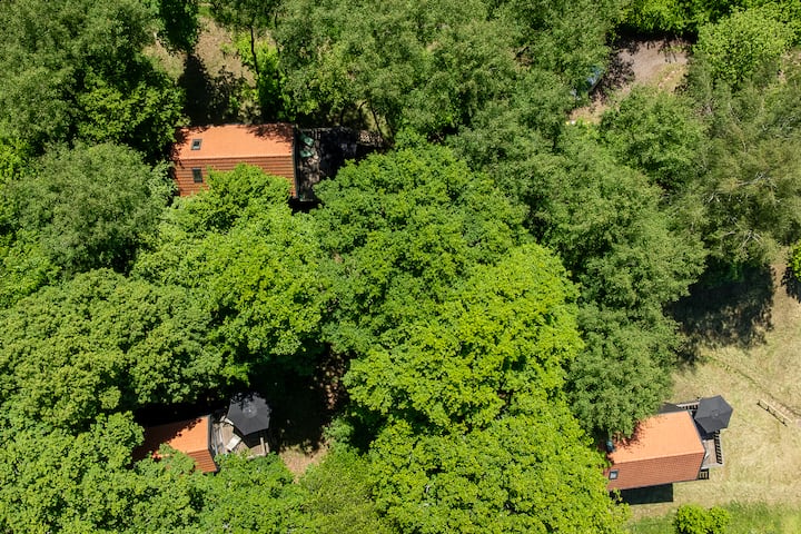 Z - ÜTe - Ecolodge à Saint-quirin - Hattigny