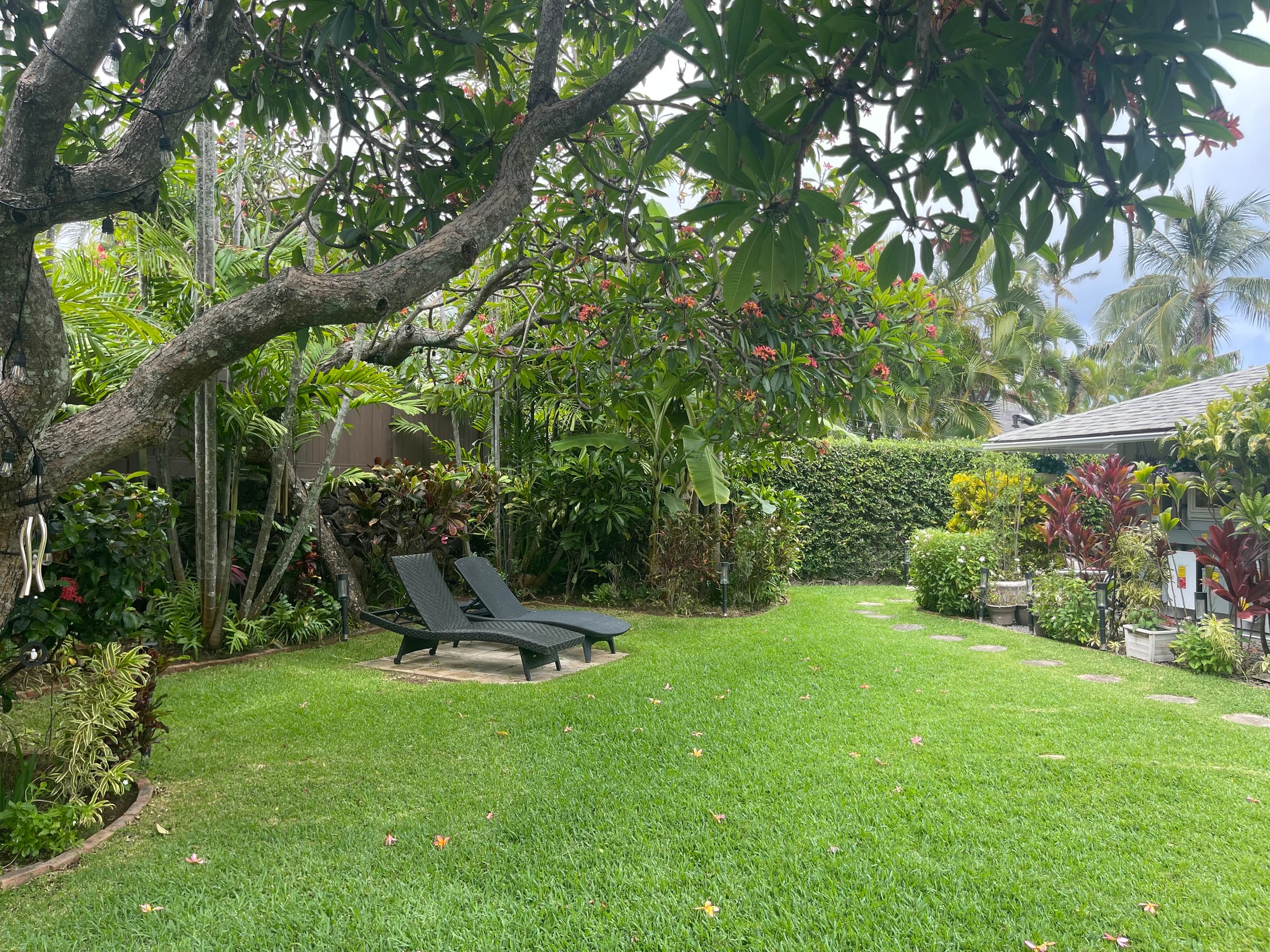 Place to stay in Kailua · ★4.96 · 1 bedroom · 1 bed · 1 private bath - Image 36