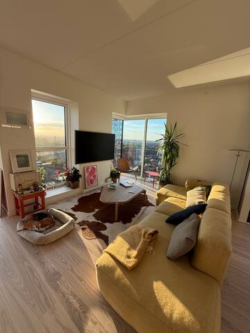 Flat with city views in lively Vestebro gallery image 5