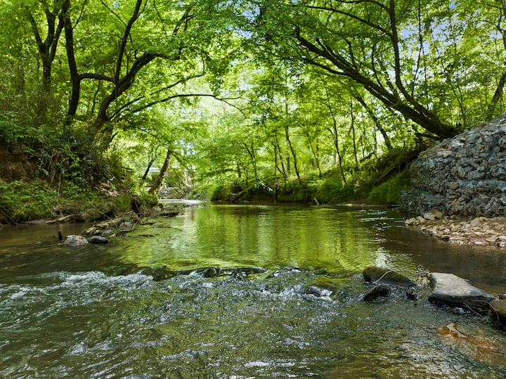Creekside-secluded-firepit-games - Mineral Bluff, GA