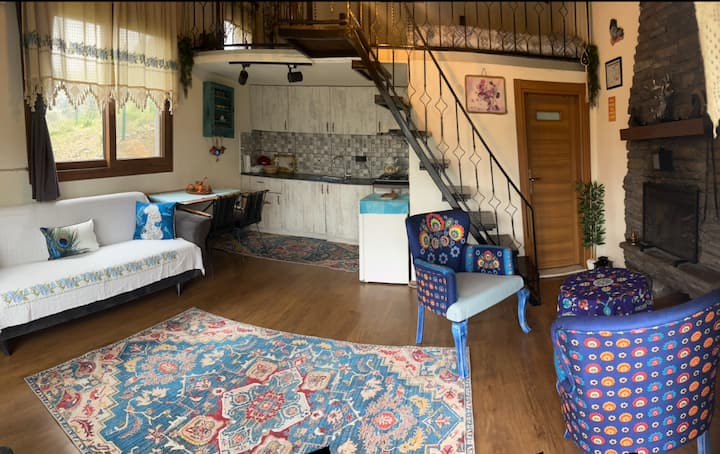Ulamış Dağ Evi - Çamlı