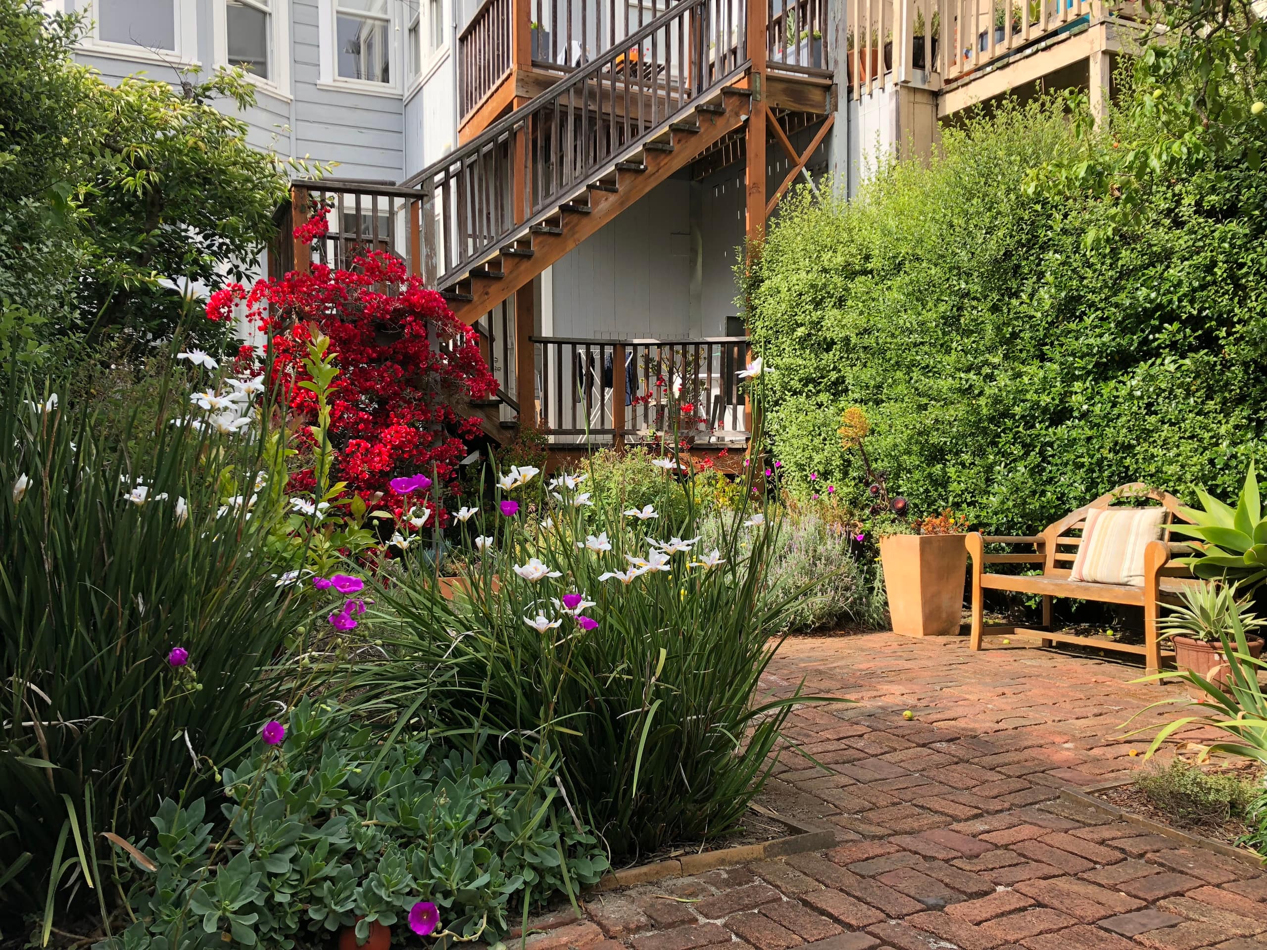 Condo in San Francisco · ★4.86 · 2 bedrooms · 2 beds · 1 bath - Image 13