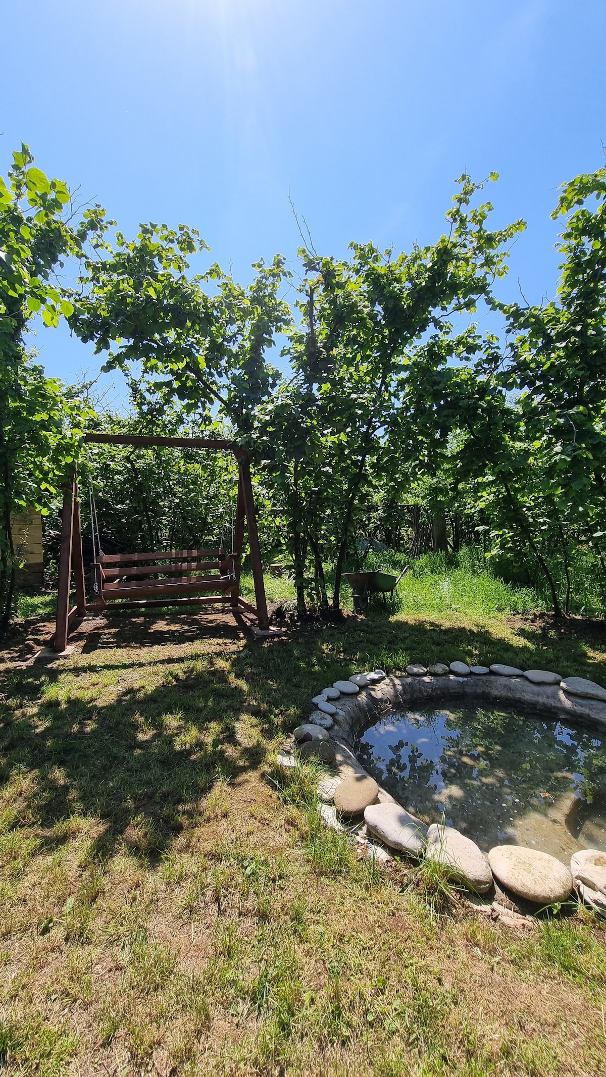 A swing set is nestled among lush greenery, surrounded by grapevines and tall grasses. A small, circular pond with smooth stones outlines its edge is visible nearby. Soft sunlight filters through the leaves, creating dappled shadows on the ground.