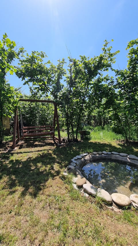 Akçakoca Vineyard House Private Garden in Nature