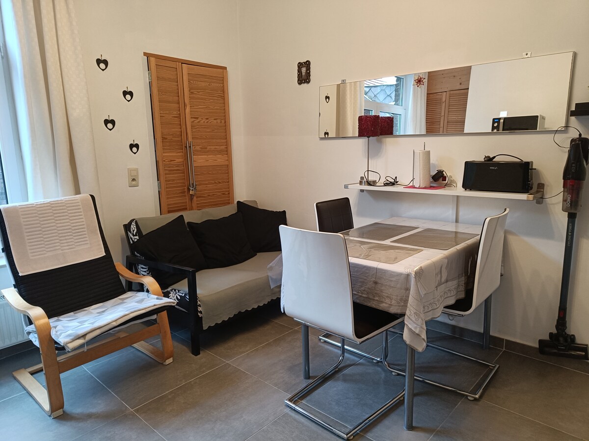 Successful Airbnb property: In the heart of Liège and by the river. in Liège