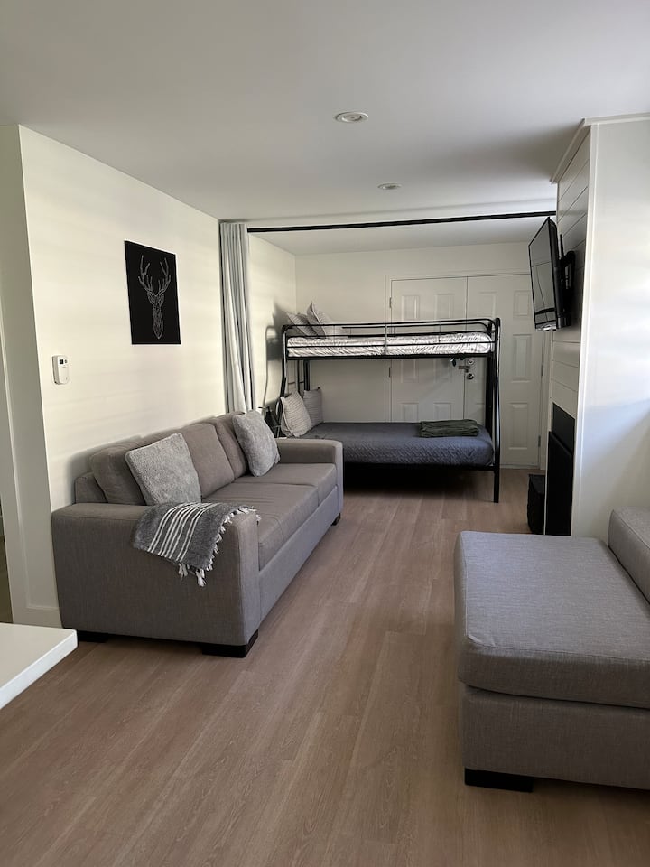 Mundypark 1bedroom (Queen)+studio (Double)+sofabed - Coquitlam