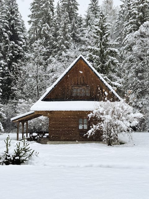 Wooden cottage in Liptovský dvor with breakfast