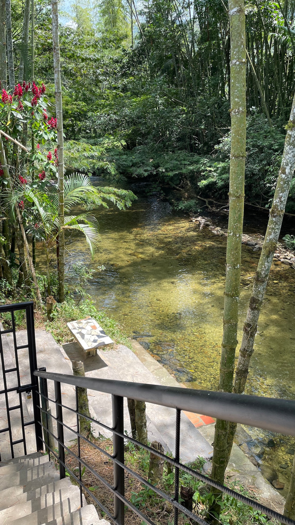 A serene view of a clear river, framed by lush greenery and tall bamboo trees. Steps lead down to a concrete area with a small table, providing a peaceful spot to enjoy the natural surroundings and the gentle sound of flowing water.