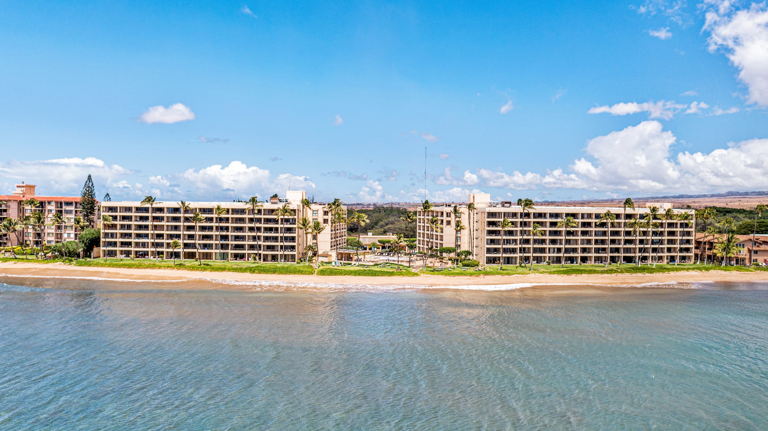 Condo in Kihei · ★4.8 · 1 bedroom · 2 beds · 1 bath - Image 38