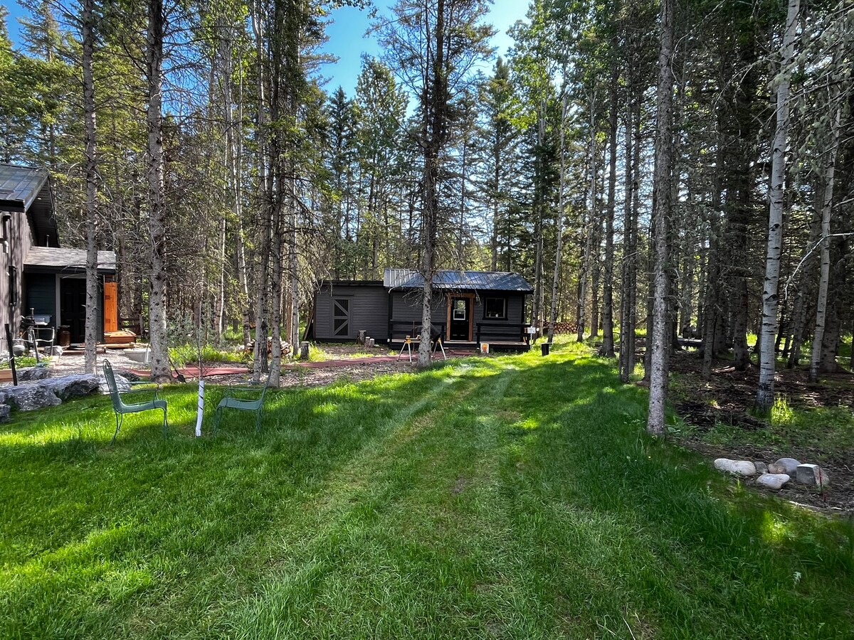 A cabin nestled among tall trees features a well-maintained lawn leading up to the entrance. The nearby seating area includes simple chairs set on the grass, surrounded by a natural woodland setting. Sunlight filters through the foliage, creating an inviting ambiance.
