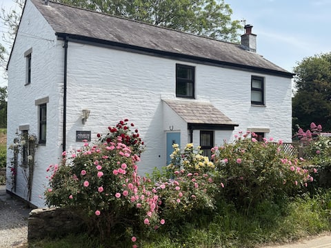 Cottage in Crantock, 400m to the Beach