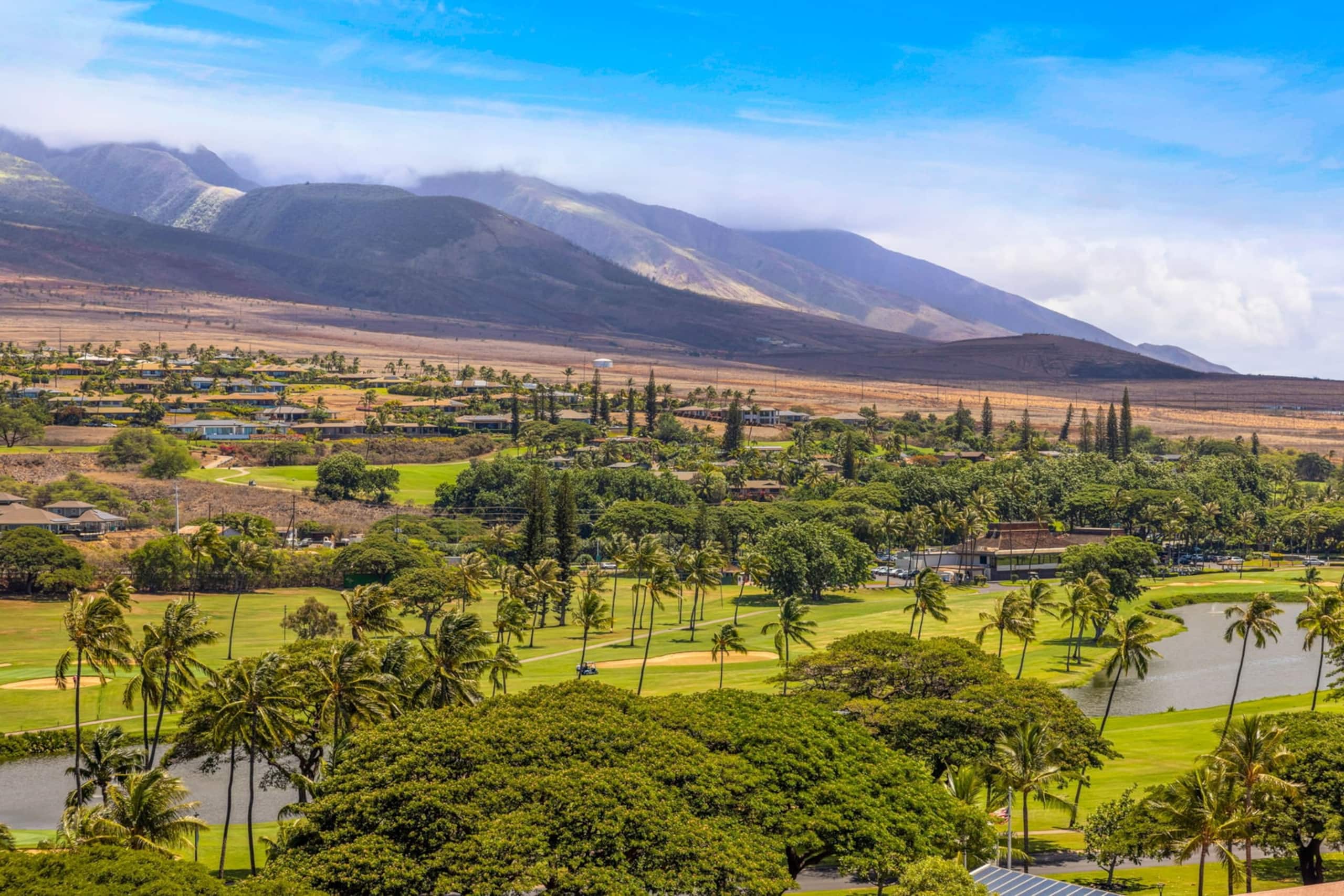 Condo in Lahaina · ★4.89 · 1 bedroom · 2 beds · 2 baths - Image 50