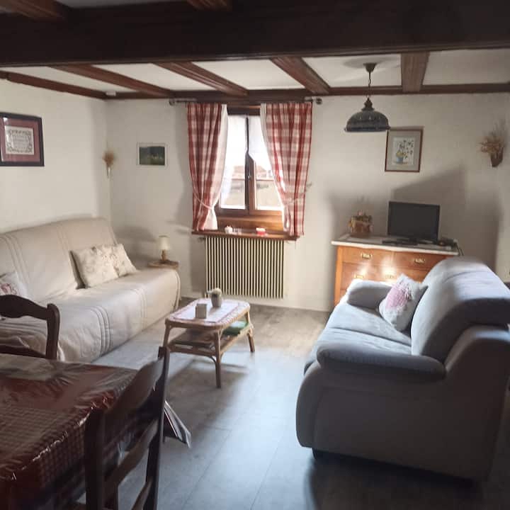 Gîte Alsacien - Wissembourg