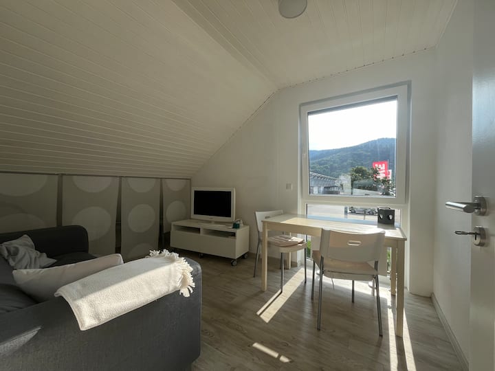 Carbon-neutral Attic Flat In Heidelberg - 海德堡