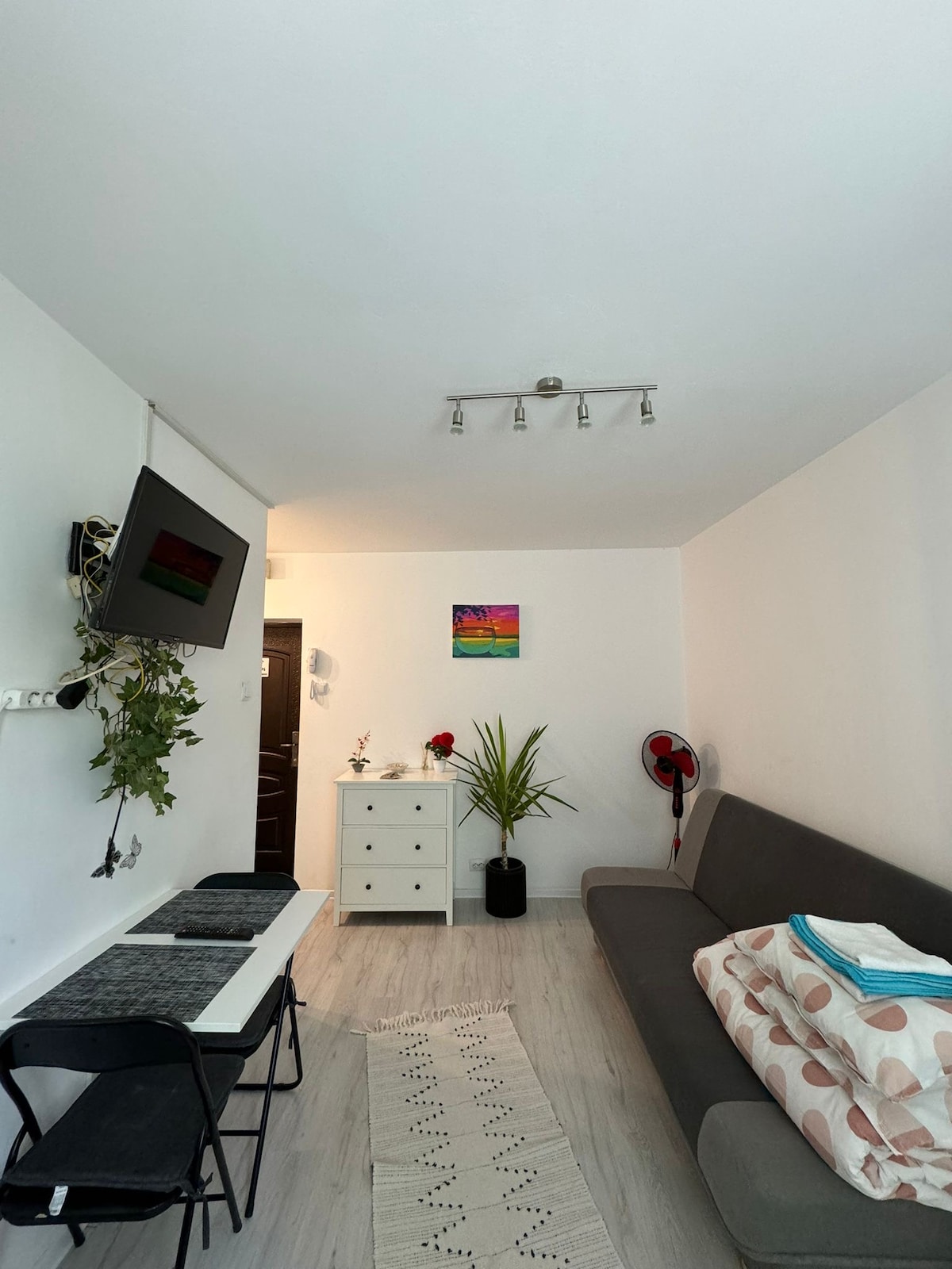 A simple living area features a gray sofa with patterned cushions. A small dining table with two chairs is positioned nearby. A light wooden dresser and a potted plant enhance the space, while a wall-mounted TV and a ceiling light provide functionality.