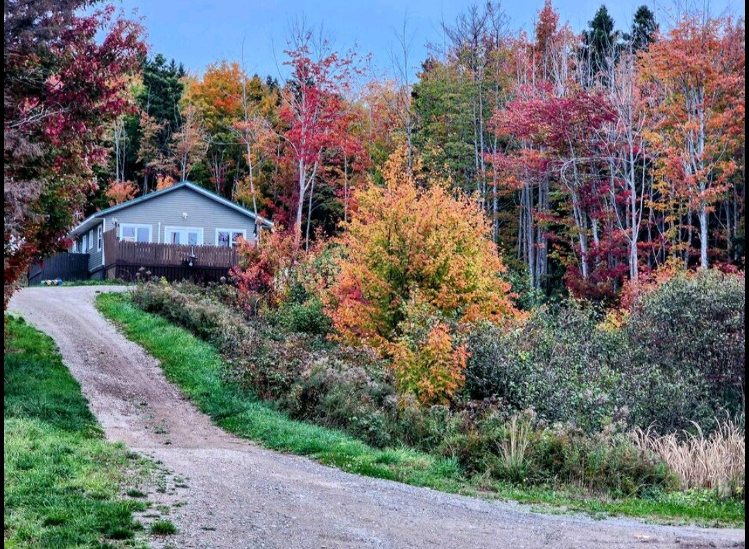 The house is situated at the end of a gravel driveway, surrounded by vibrant fall foliage. Colorful trees in shades of orange and yellow frame the property, creating a picturesque natural setting. The home features a wooden deck that provides an inviting entrance.