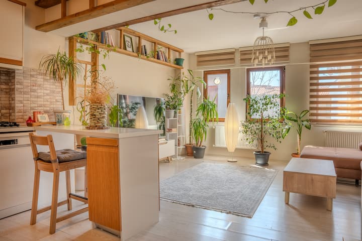 Jacuzzi, Terrace, View, 2 Air Conditioners, 1 min to the Pier