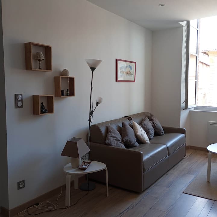 Appartement Indépendant Dans Maison De Caractère - Moissac
