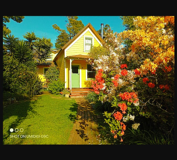 North Shattuck 4-bedroom Cottage In Secret Garden - Berkeley, CA