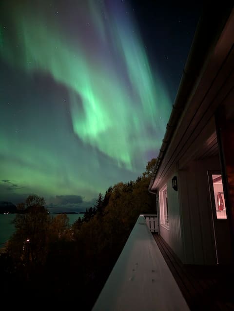 Cozy holiday house with sea view - Skaland-Senja