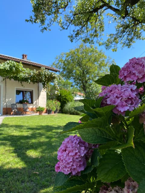 Katrca holiday home, in a village surrounded by greenery