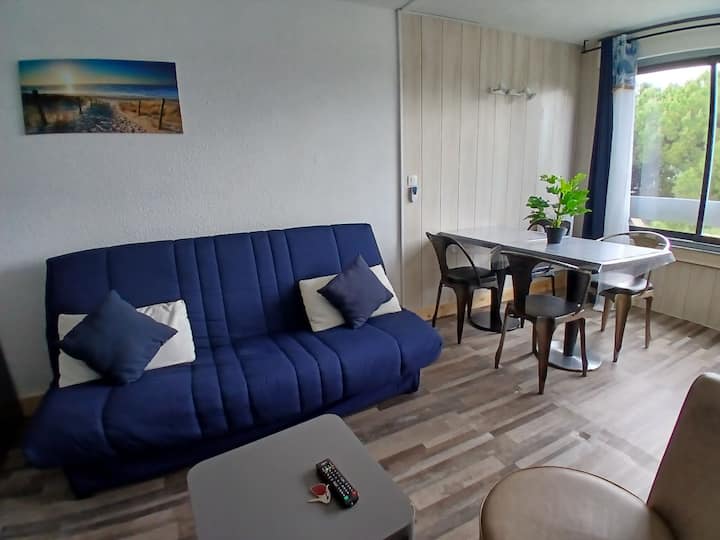 Grand Studio, Piscines Proche Plage, Wifi - Aigues-Mortes