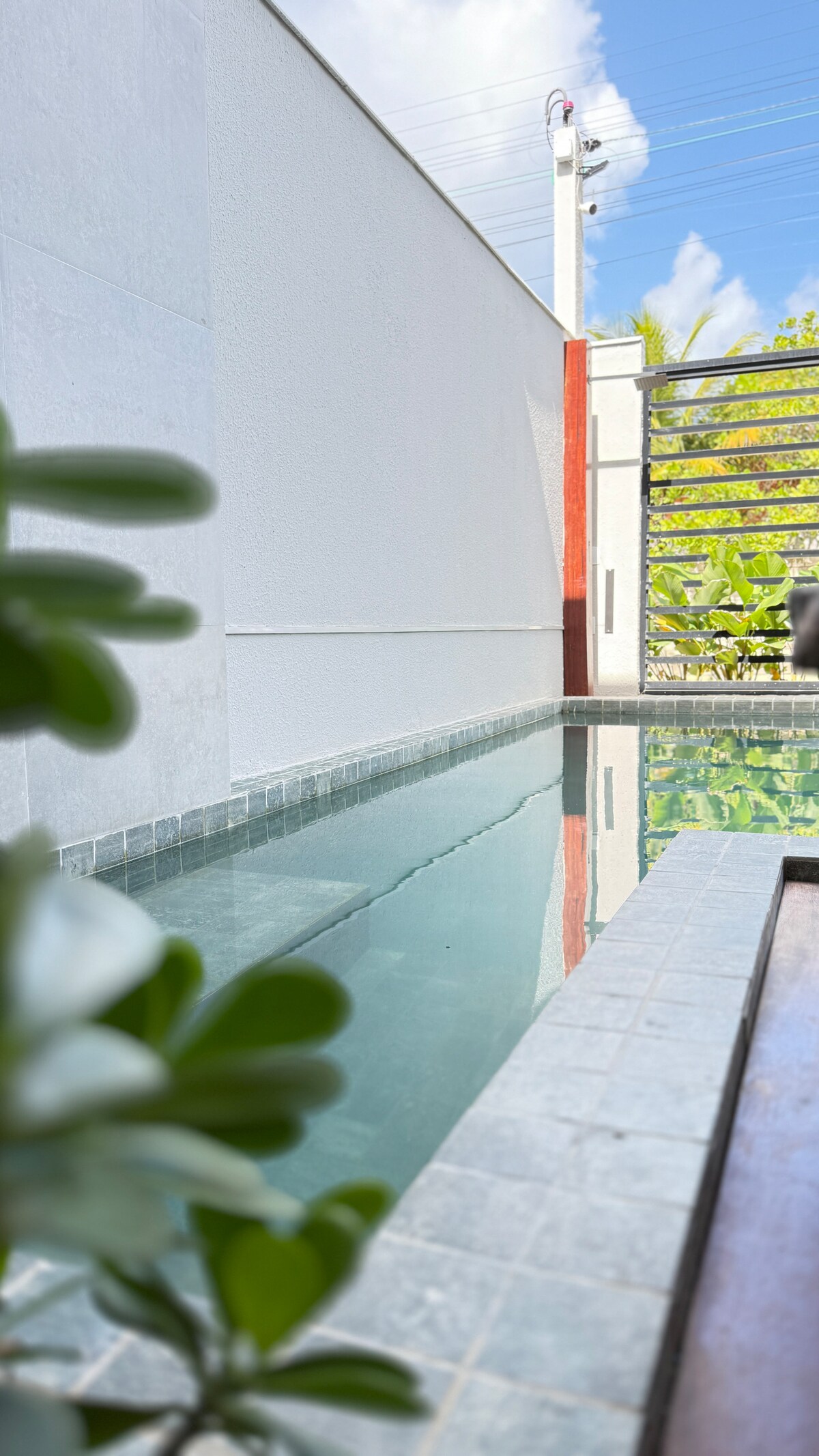 A tranquil pool is showcased with clear water reflecting the blue sky. The surrounding wall provides privacy, while the edge features a stone trim. Lush greenery is visible in the background, enhancing the serene atmosphere of the outdoor space.