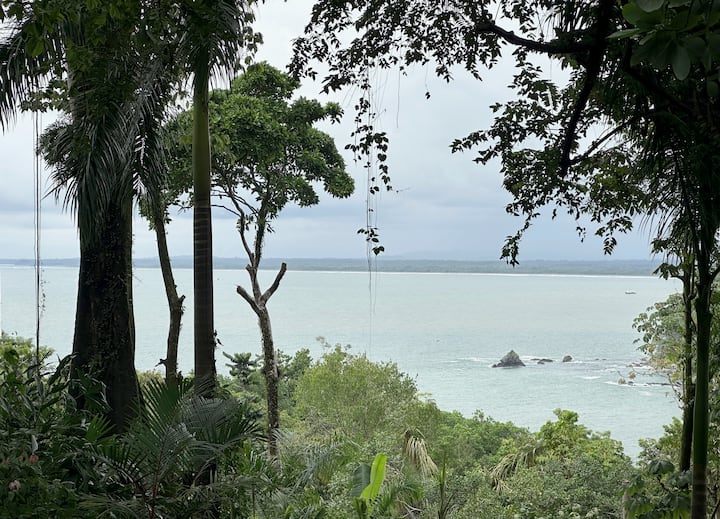 Villa Avec Vues, Jungle, Toucan, Singes, Plage