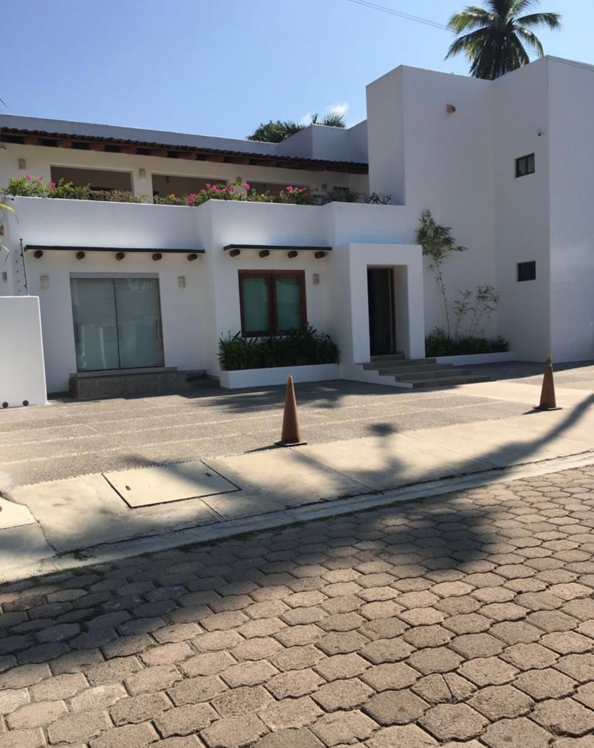 A modern multi-level building is shown, with white walls complemented by wooden accents. Lush greenery surrounds the entrance, while large windows invite natural light. The structured pathway is lined with round planters, and palm trees add a tropical touch to the overall aesthetic.