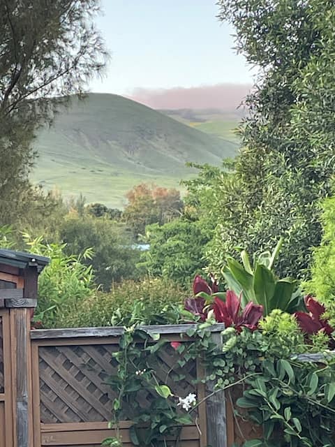 Near best Beaches /Waimea GH