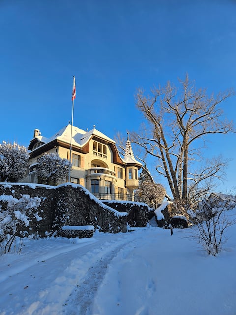 Unique villa, pool and large park, Vorbourg 15