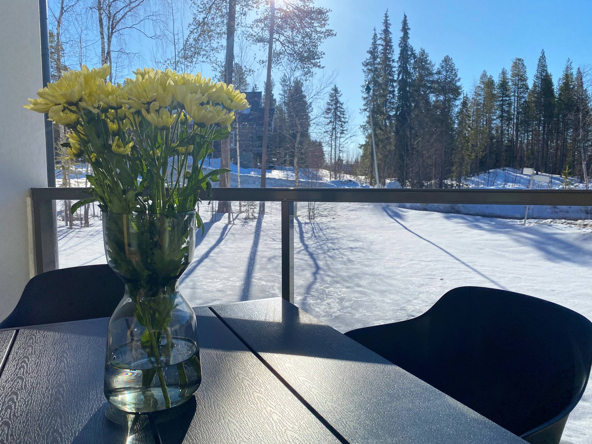 Stylish New Apartment in a Prime Ski Location