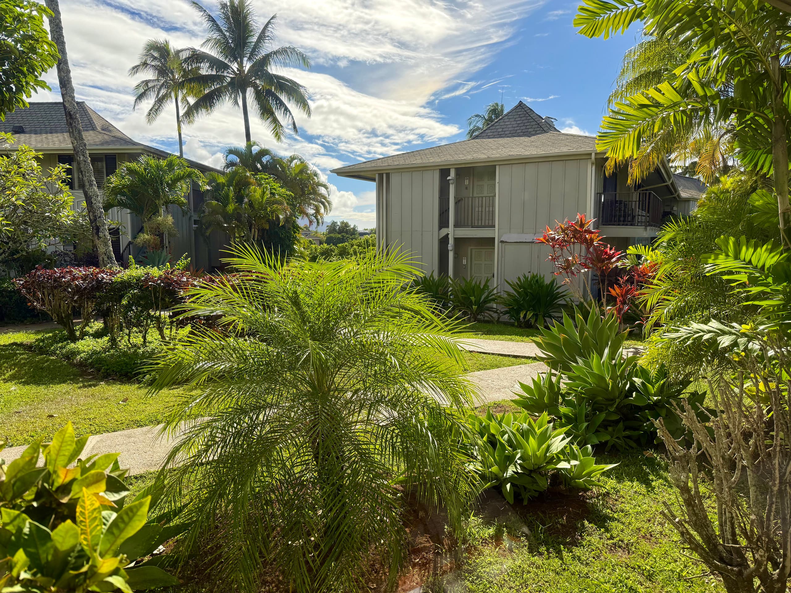 Lovely 1 Bedroom Condo with Garden and Ocean Views - Photo 25