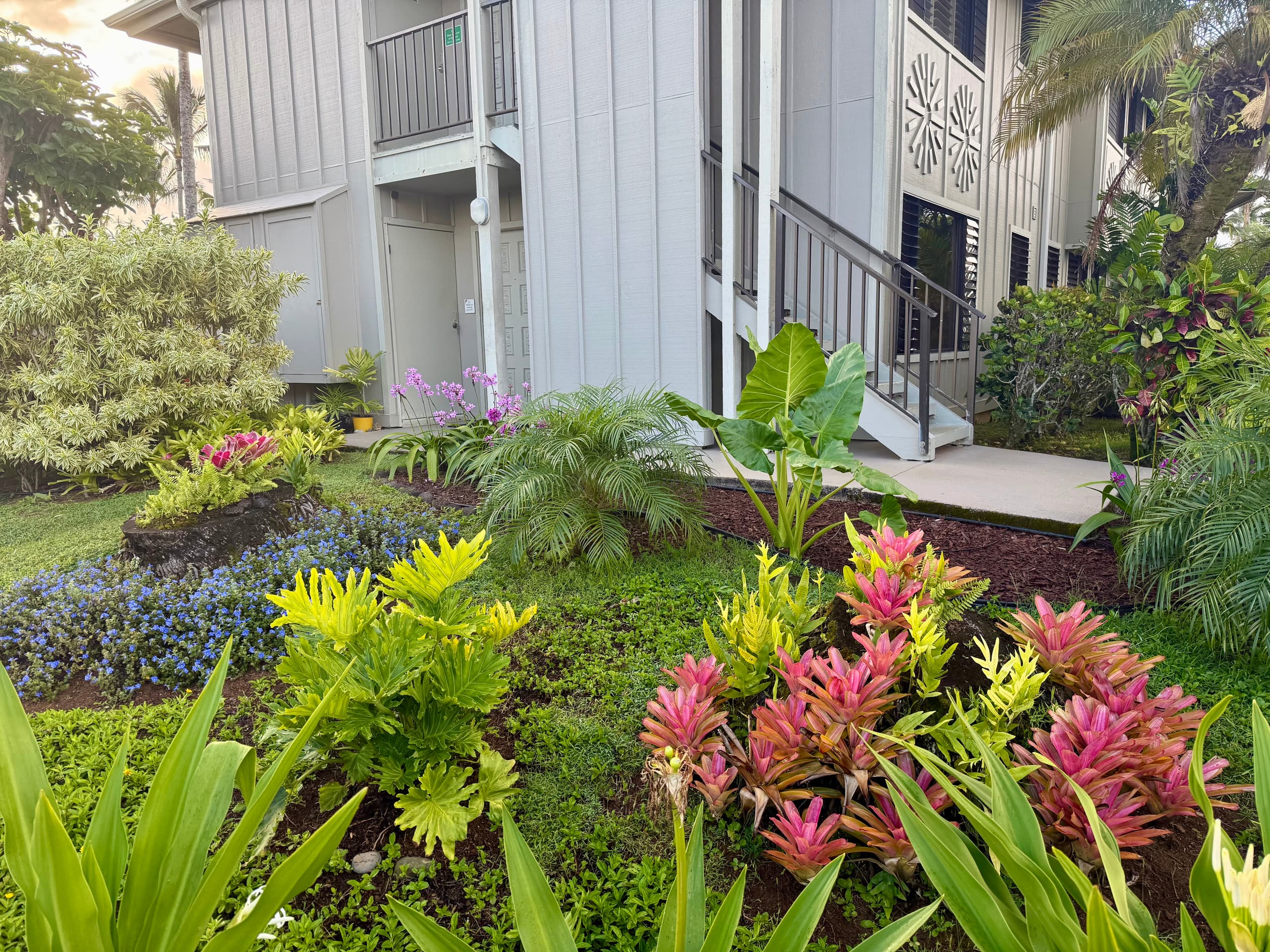 Lovely 1 Bedroom Condo with Garden and Ocean Views - Photo 53