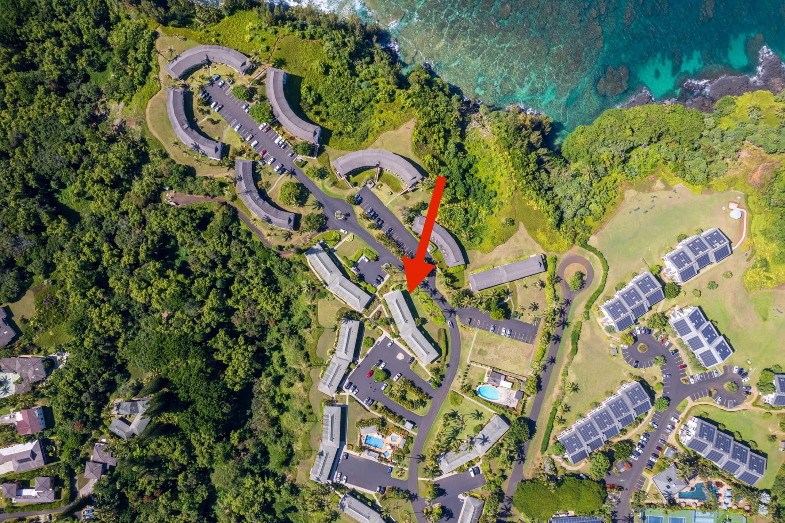 Lovely 1 Bedroom Condo with Garden and Ocean Views - Photo 48