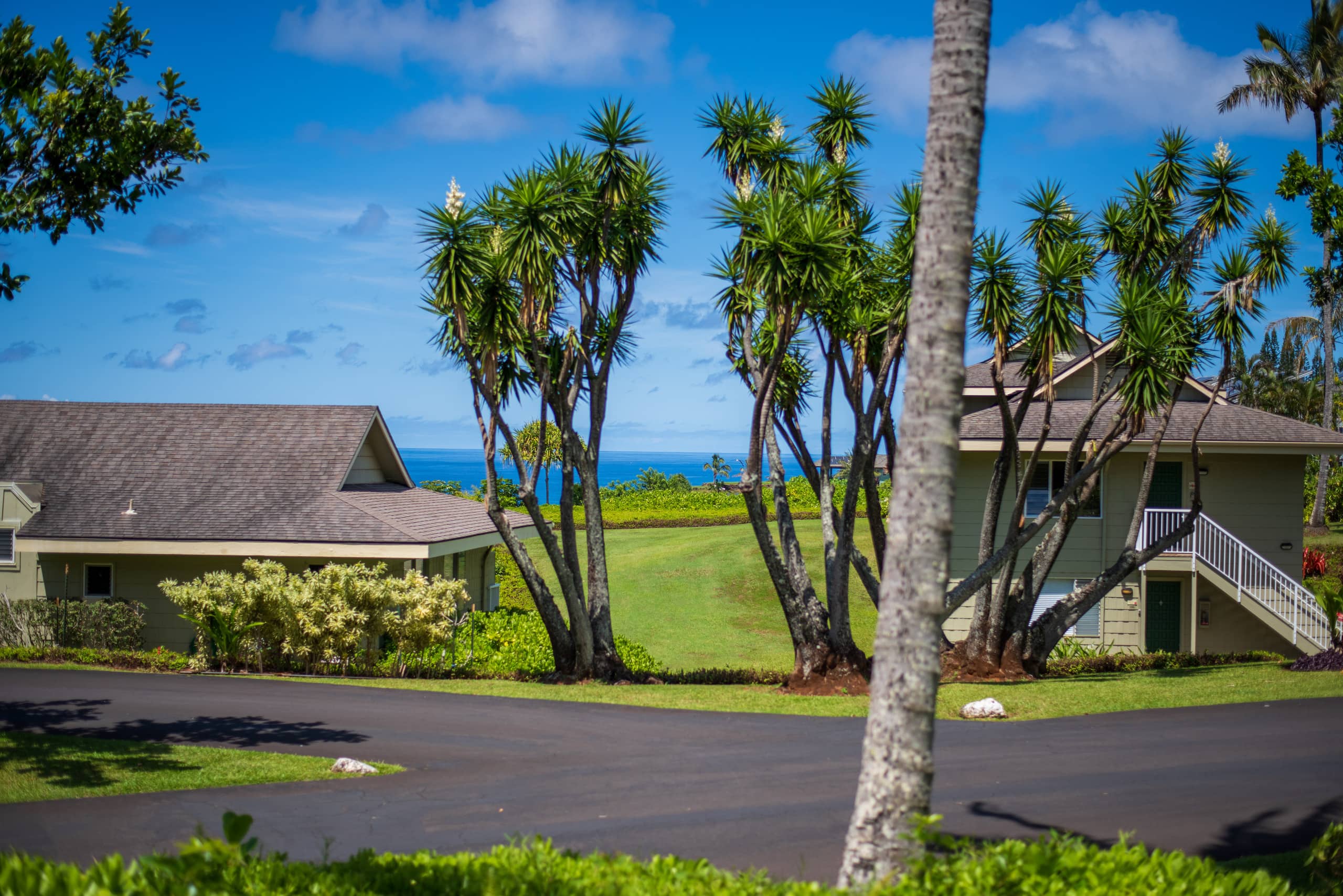 Lovely 1 Bedroom Condo with Garden and Ocean Views - Photo 39