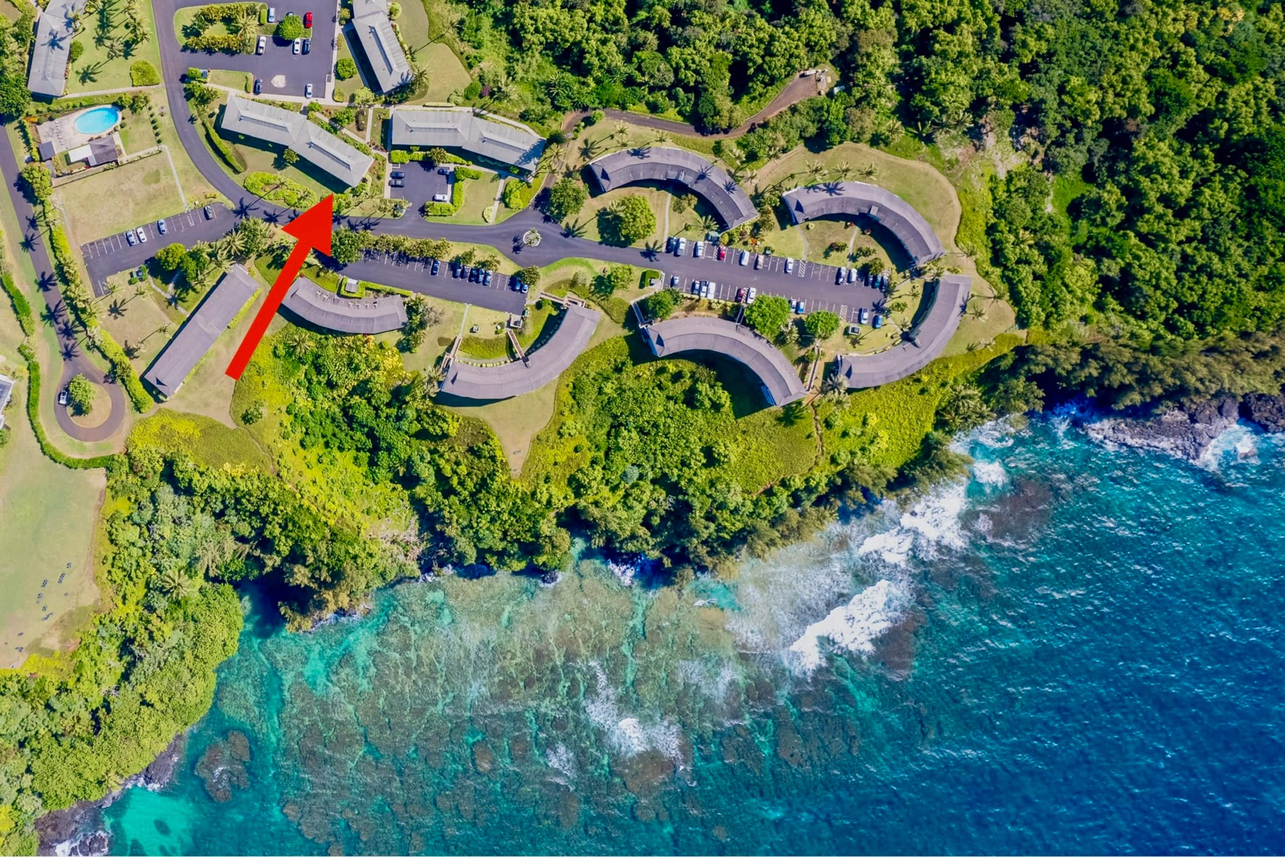 Lovely 1 Bedroom Condo with Garden and Ocean Views - Photo 52