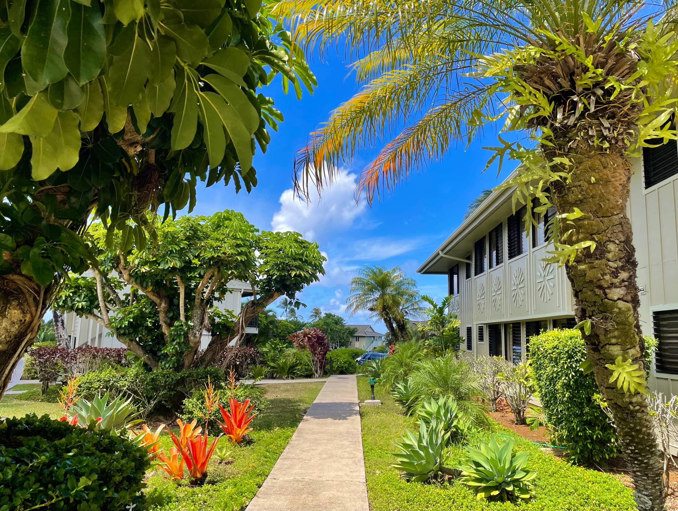 Lovely 1 Bedroom Condo with Garden and Ocean Views - Photo 41