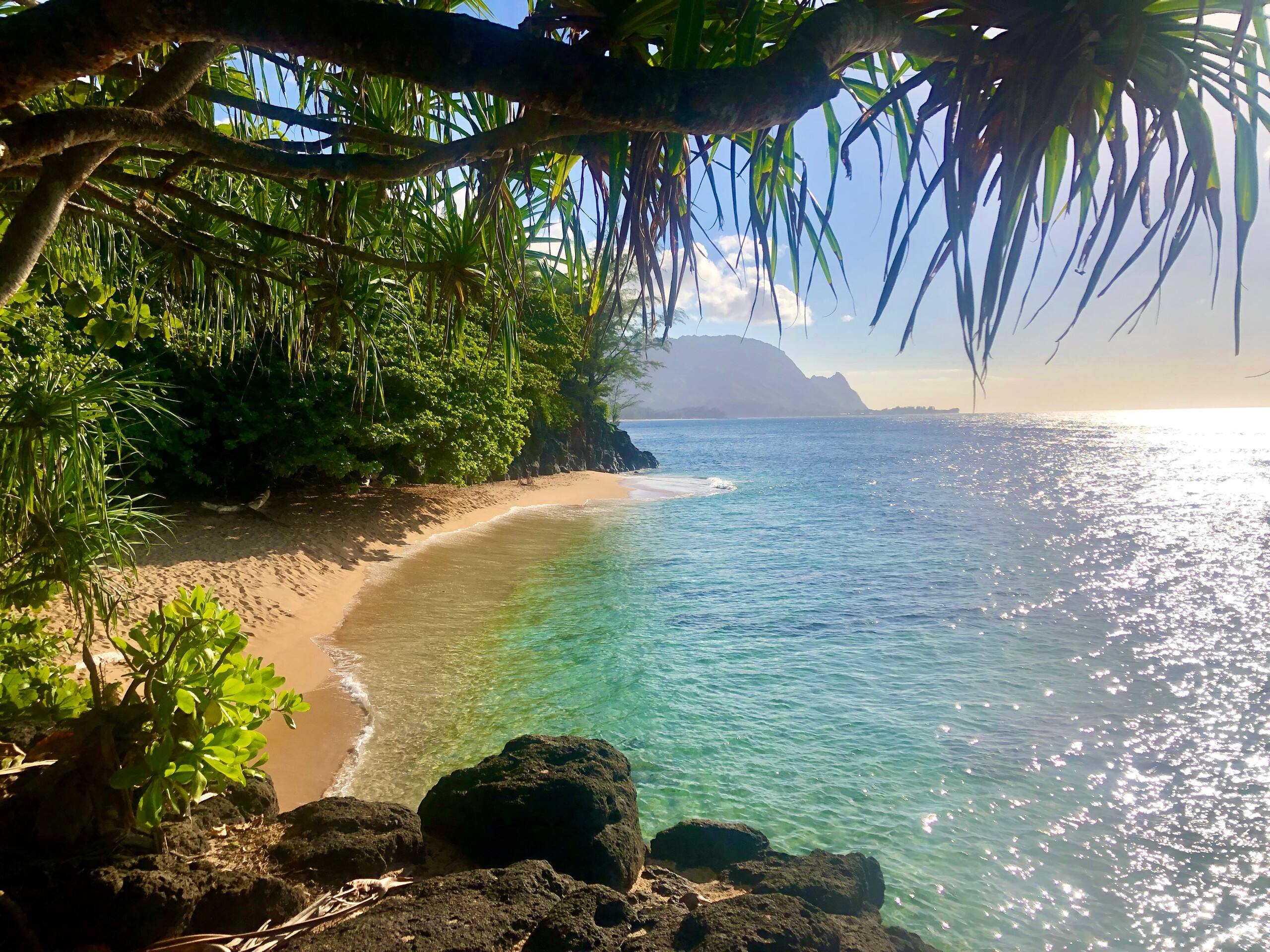 Lovely 1 Bedroom Condo with Garden and Ocean Views - Photo 65
