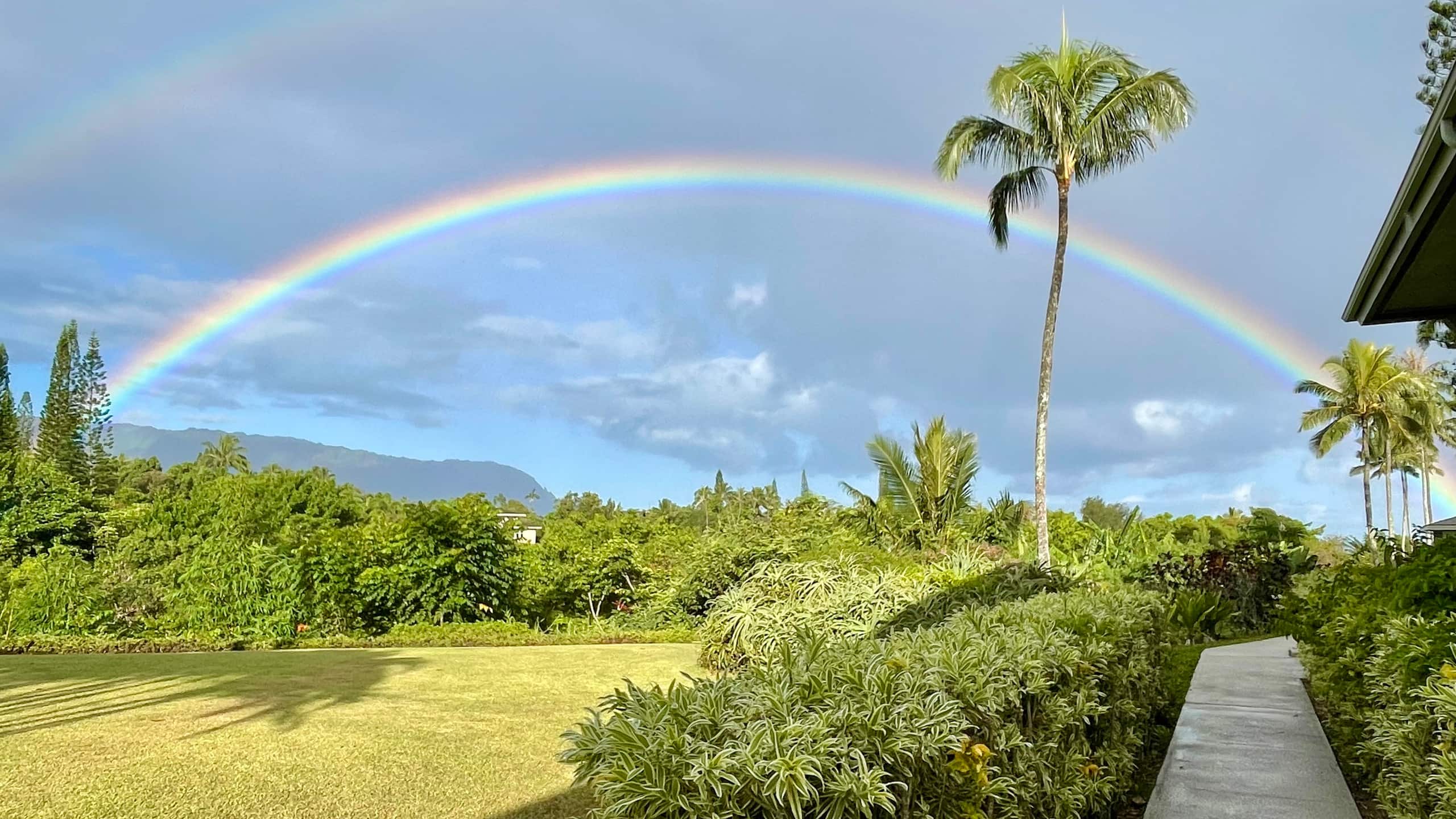 Lovely 1 Bedroom Condo with Garden and Ocean Views - Photo 33