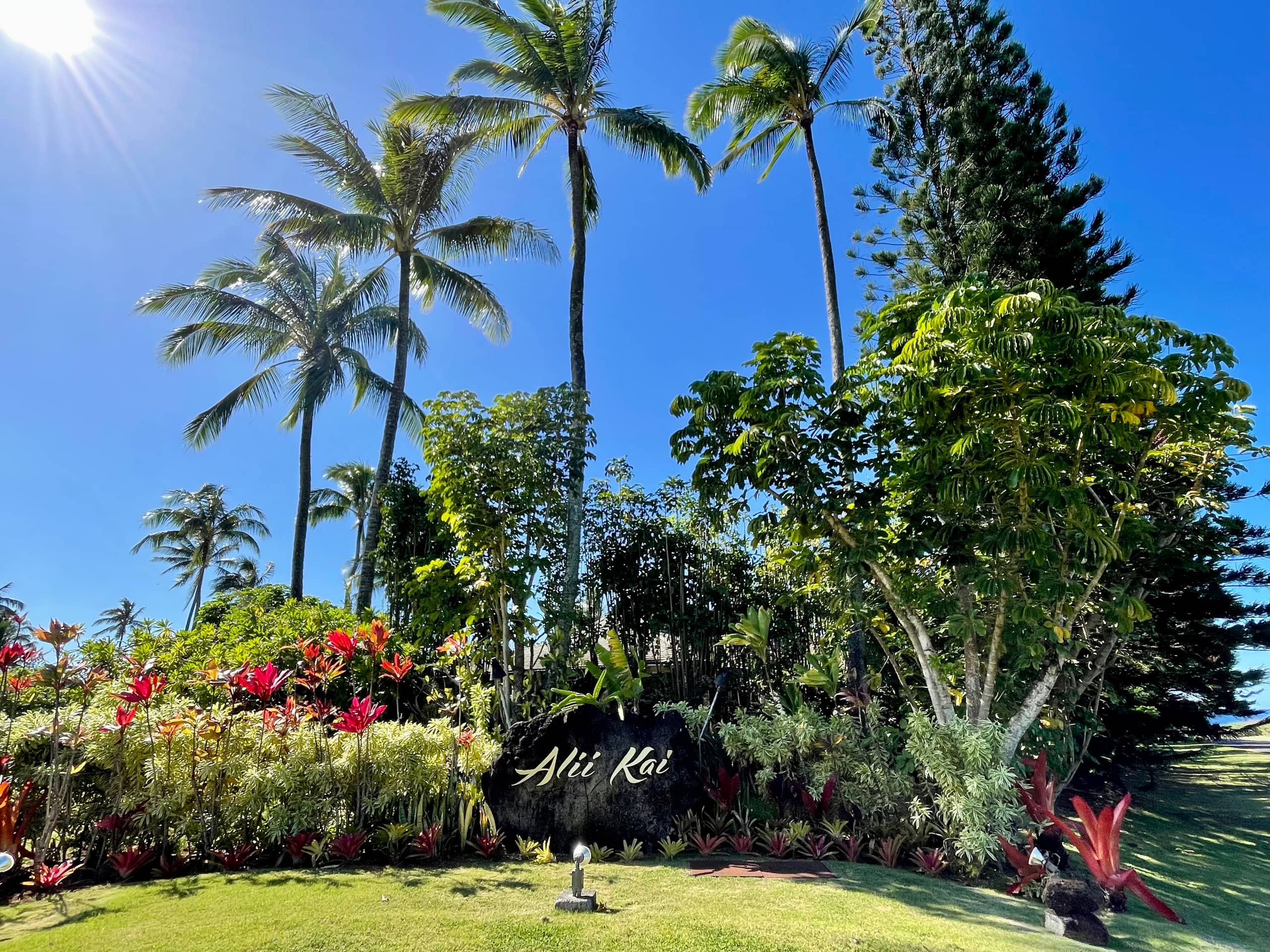 Lovely 1 Bedroom Condo with Garden and Ocean Views - Photo 45