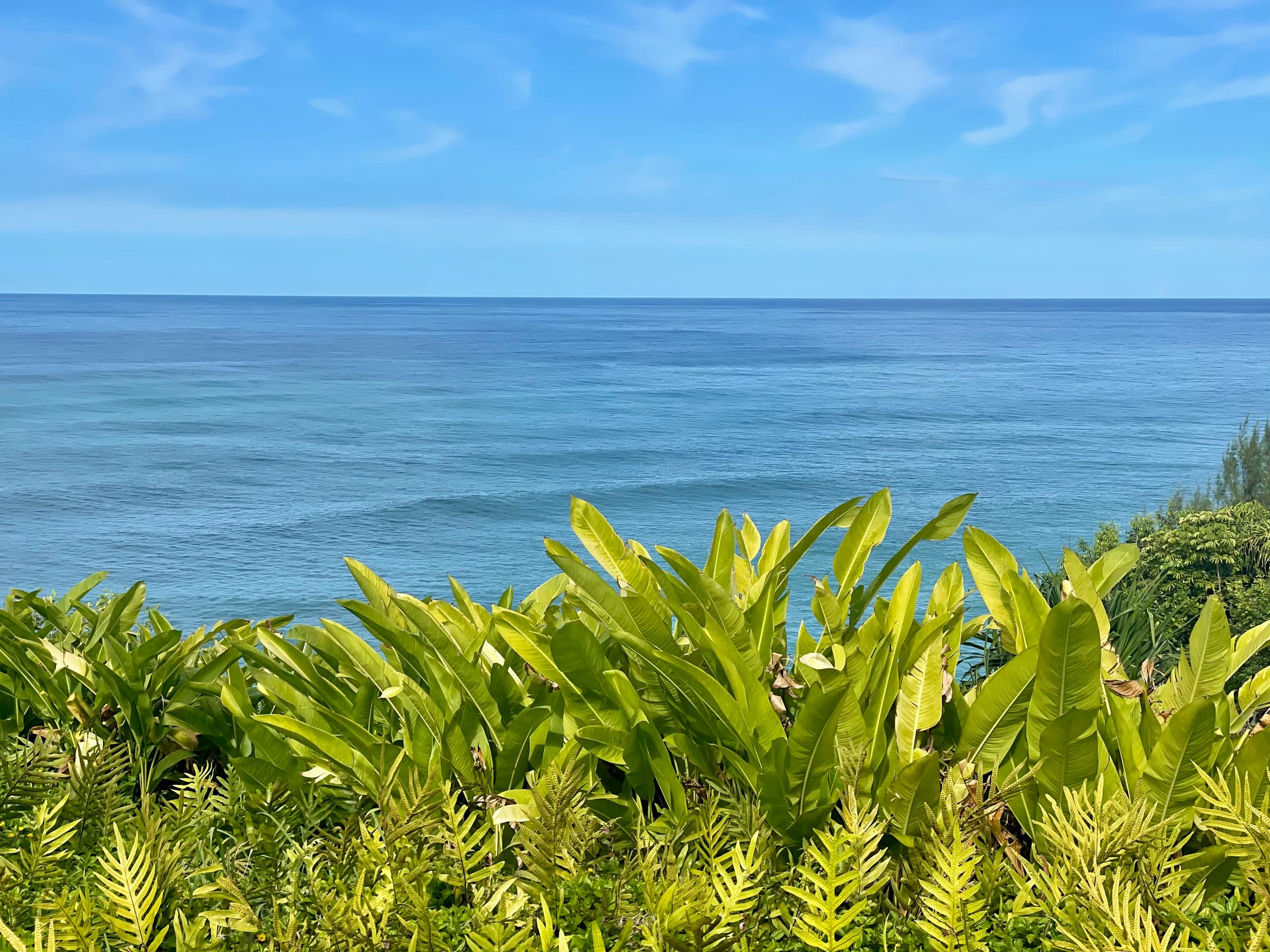 Lovely 1 Bedroom Condo with Garden and Ocean Views - Photo 36