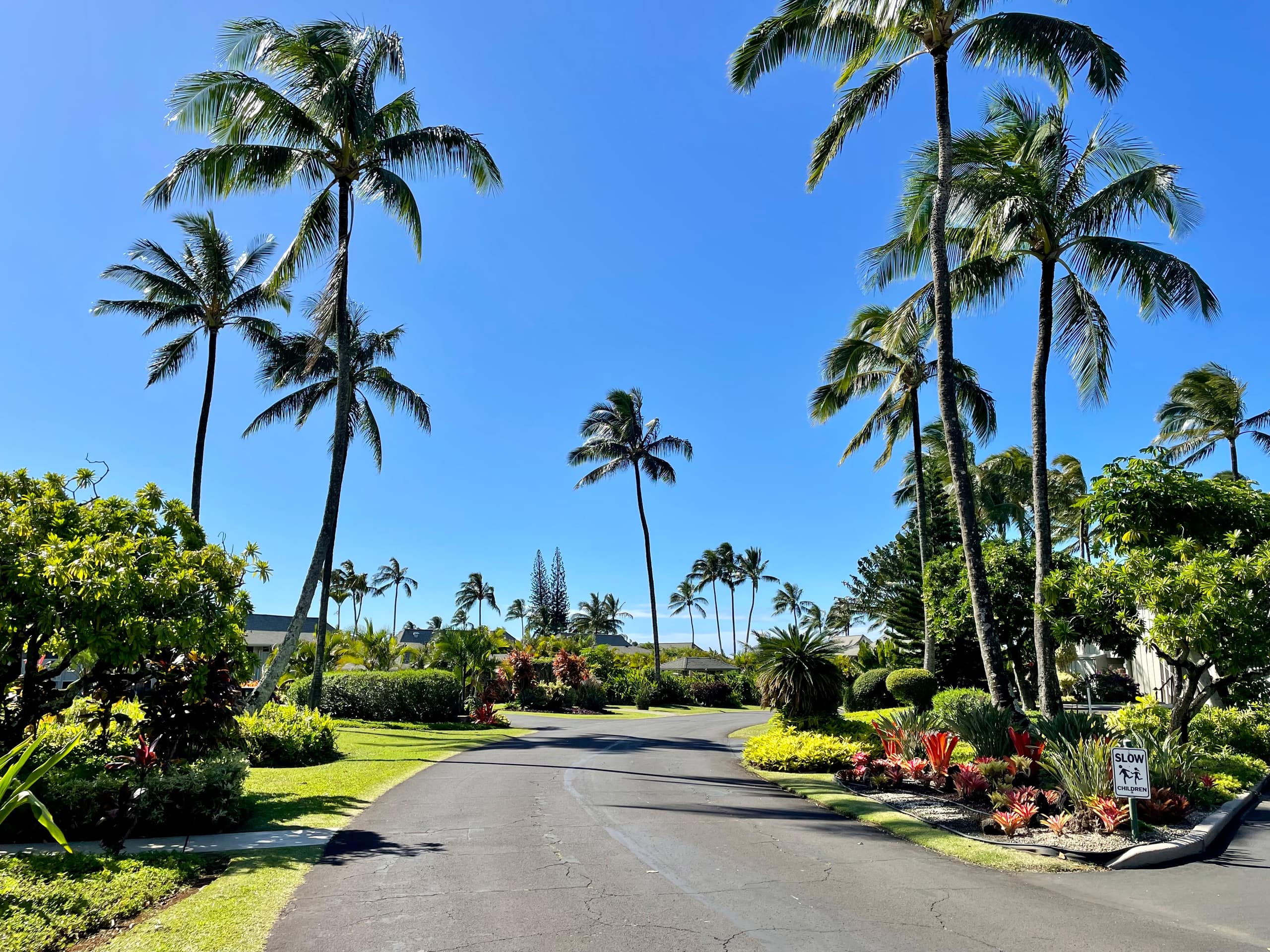Lovely 1 Bedroom Condo with Garden and Ocean Views - Photo 46