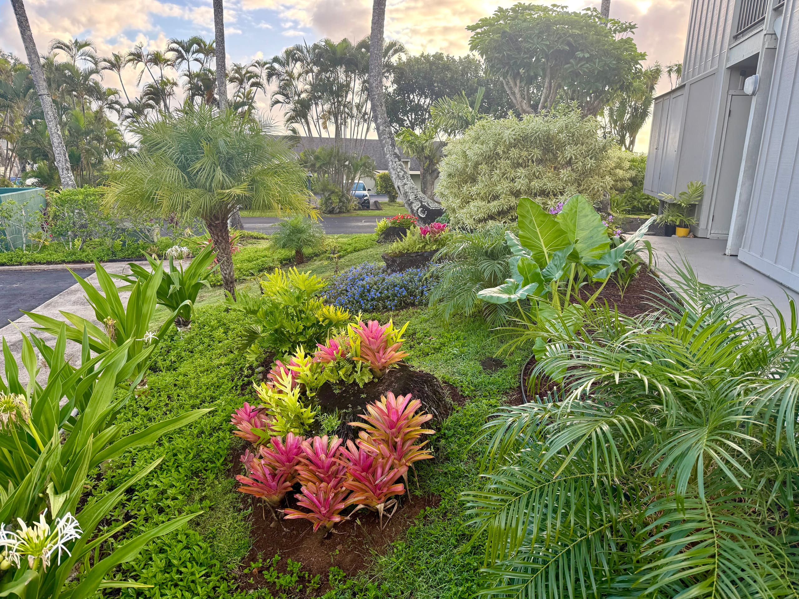 Lovely 1 Bedroom Condo with Garden and Ocean Views - Photo 35